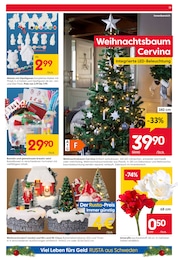 Pflanzen Angebot im aktuellen Rusta Prospekt auf Seite 13