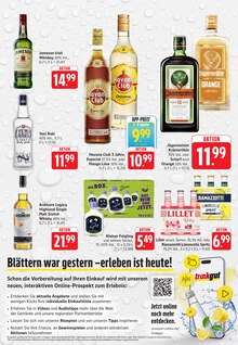 Whiskey im Trinkgut Prospekt "Aktuelle Angebote" mit 9 Seiten (Mainz)