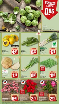 Pflanzen im aktuellen REWE Prospekt (Freiburg (Breisgau)) Pflanzen im REWE Prospekt "Dein Markt" mit 20 Seiten (Freiburg (Breisgau))
