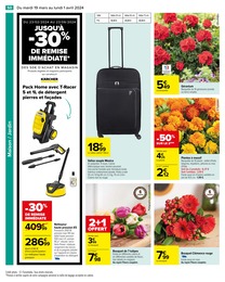 Offre Fleurs dans le catalogue Carrefour du moment à la page 52