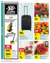 Plantes Angebote im Prospekt "Carrefour" von Carrefour auf Seite 52