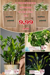 Aktueller Garten-Center Nordharz GmbH & Co. KG Prospekt mit Garten, "Zoo & Co.", Seite 5