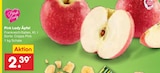 Pink Lady Äpfel im aktuellen Netto Marken-Discount Prospekt