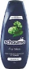 Shampoo oder Spülung Angebote von Schauma bei Netto Marken-Discount Duisburg für 1,69 €
