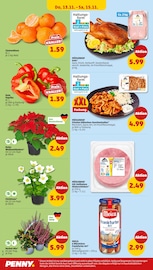 Aktueller Penny Prospekt mit Ente, "Wer günstig will, muss Penny.", Seite 34