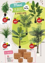 Bambou Angebote im Prospekt "Envie DE JARDIN" von Maxi Bazar Bambou Angebote im Prospekt "Envie DE JARDIN" von Maxi Bazar auf Seite 16