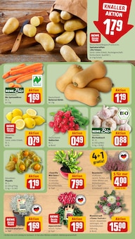 Kürbis im REWE Prospekt "Dein Markt" mit 24 Seiten (Halle (Saale))