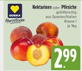 Aktuelle Nektarinen Angebote bei EDEKA in München Aktuelles Nektarinen oder Pfirsiche Angebot bei EDEKA in München ab 2,99 €