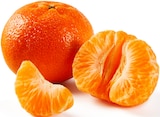 Mandarinen/Clementinen bei Lidl im Prospekt "" für 1,49 €