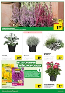 Pflanzen im Hagebaumarkt Prospekt "SO günstig geht das!" mit 22 Seiten (Neuss)