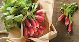 Promo Radis Rose à 0,69 € dans le catalogue Intermarché Express à Saint-Denis