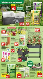 Saatgut Angebot im aktuellen Thomas Philipps Prospekt auf Seite 5