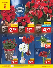 Aktueller Netto Marken-Discount Prospekt mit Weihnachtsstern, "Aktuelle Angebote", Seite 22