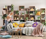 Aktuelles Lammfell AGNELLO, Teppich HARMONY, Decke HEAVEN, Kissen MINNIE, oder Kissen VITO Angebot bei Trends in Duisburg ab 7,90 €