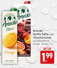Sanfte Säfte Citrus im Angebot bei Trinkgut in Bad Homburg Sanfte Säfte Citrus Angebote von Amecke bei Trinkgut Bad Homburg für 1,99 €