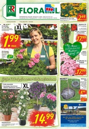 Aktueller Gartencenter Garten & Pflanzen Prospekt für Thum: Große Kübelpflanzen-Verkaufsschau mit 8} Seiten, 07.05.2024 - 18.05.2024