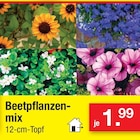 Angebot im Zimmermann Celle Prospekt Zimmermann Celle Prospekt mit im Angebot fĂŒr 1,99 âŹ