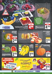 Ähnliche Luftmatratze Angebote im Prospekt "Wir lieben Lebensmittel!" von EDEKA in Zwickau Ähnliche Angebote wie Luftmatratze im Prospekt "Wir lieben Lebensmittel!" auf Seite 6 von EDEKA in Zwickau