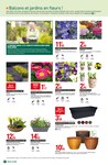 Plantes Et Fleurs Plantes Et Fleurs