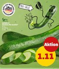 Aktuelle Zucchini Angebote bei Penny in Mannheim Aktuelles Deutsche Bio-Zucchini Angebot bei Penny in Mannheim ab 1,11 €
