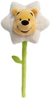 Disney Blooms im Angebot bei REWE in Darmstadt Disney Blooms Angebote von Simba bei REWE Darmstadt für 9,99 €