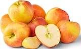 Aktuelles rote Äpfel Angebot bei Penny in Ludwigshafen (Rhein) ab 1,29 €
