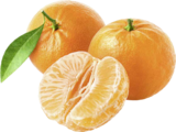 EDEKA Dreieich - Genussmomente Mandarinen Angebot im Prospekt Genussmomente Mandarinen bei EDEKA im Dreieich Prospekt für 1,99 €