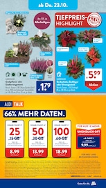 Aktueller ALDI SÜD Prospekt mit Grabpflege, "Gutes für Alle.", Seite 19