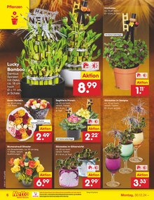 Blumen im Netto Marken-Discount Prospekt "Aktuelle Angebote" mit 61 Seiten (Düsseldorf)