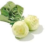 Kohlrabi von  im aktuellen Netto mit dem Scottie Prospekt für 0,45 €