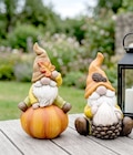 Herbstwichtel im Angebot bei Thomas Philipps in Albstadt Herbstwichtel Angebote bei Thomas Philipps Albstadt für 12,99 €