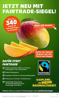 Fritteuse Angebot im Kaufland Prospekt, gültig von 15.05.2026 bis 20.05.2026 Fritteuse Angebot im aktuellen Kaufland Prospekt auf Seite 51