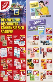 Pute im WEZ Prospekt in Löhne Aktueller WEZ Prospekt mit Pute, "Die WEZette", Seite 12