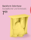 Backform Osterhase für 7,99 € bei E center im Angebot Backform Osterhase im aktuellen E center Prospekt