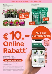Blumenerde Angebot im aktuellen Blume 2000 Prospekt auf Seite 6