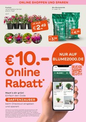 Ähnliche Mutterboden Angebote im Prospekt "GARTENZAUBER" von Blume 2000 in München Ähnliche Angebote wie Mutterboden im Prospekt "GARTENZAUBER" auf Seite 6 von Blume 2000 in München