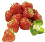 Erdbeeren Angebote von Unsere Heimat bei Marktkauf Rottenburg