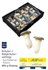 Aktuelle Pilze Angebote bei METRO in Duisburg Aktuelles Kräuter-/ Babykräuterseitlinge Angebot bei METRO in Duisburg ab 4,42 €
