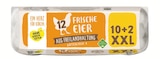 Frische Eier aus Freilandhaltung XXL  im aktuellen Lidl Prospekt für 2,29 €