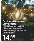 Outdoor-Glühbirnen-Lichterkette bei Rossmann im Gieleroth Prospekt für 14,99 €