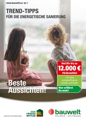Aktueller Delmes Bauwelt Baumarkt Prospekt in Tiste und Umgebung, "Trend-Tipps für die energetische Sanierung" mit 10 Seiten, 09.05.2025 - 18.05.2025