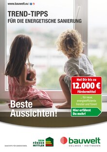 Delmes Bauwelt Prospekt Trend-Tipps für die energetische Sanierung mit 10 Seiten