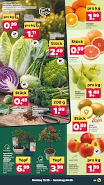 Blumen im Netto mit dem Scottie Prospekt in Frankfurt Aktueller Netto mit dem Scottie Prospekt mit Blumen, "Günstig. Besser. Für Dich.", Seite 3
