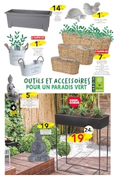 Offre Plante Verte dans le catalogue Stokomani du moment à la page 11