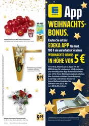 Garten im EDEKA Prospekt in Heidelberg Aktueller EDEKA Prospekt mit Garten, "Aktuelle Angebote", Seite 5