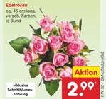 Aktuelles Edelrosen Angebot bei Netto Marken-Discount in Paderborn ab 2,99 €