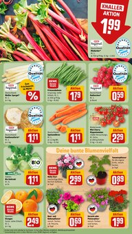 Tomaten im aktuellen REWE Prospekt (Nürnberg) Tomaten im REWE Prospekt "Dein Markt" mit 30 Seiten (Nürnberg)