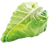Spitzkohl Angebote von REWE Regional bei REWE Beckum für 0,99 €