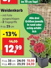 Weidenkorb H ca. 29 cm bei Thomas Philipps im Prospekt "" für 12,99 €