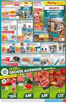 Paprika im aktuellen Norma Prospekt (Regensburg) Paprika im Norma Prospekt "Mehr fürs Geld" mit 21 Seiten (Regensburg)